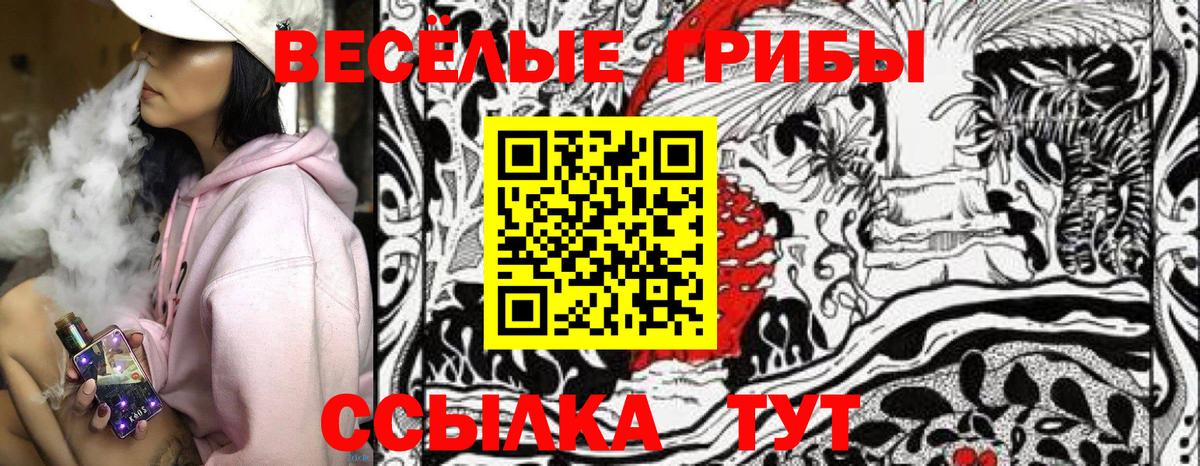 Псилоцибиновые грибы Psilocybe  Вход с VPN  Саратов 